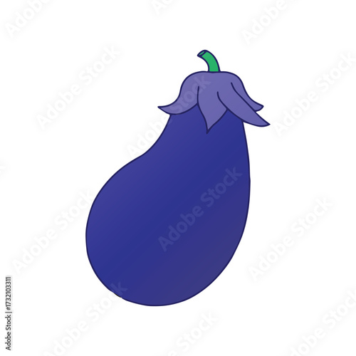 Eggplant Illustration on White Background
