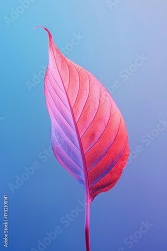 Red leaf studio shot; gradient background. Plant ad use, creative, art