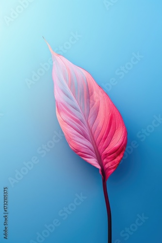 Pink leaf macro. Plant art on blue backdrop. Background gradient. Natural style