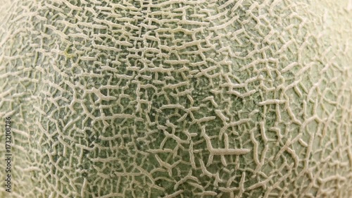 Close-up of ripe melon skin	