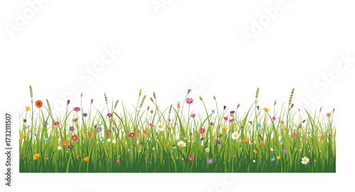 green grass and flowers