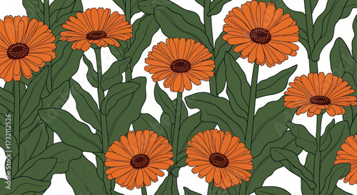 Illustration of vivid orange calendula flowers with green leaves on white