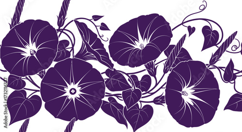 Purple flower vine on white