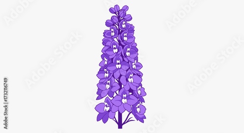 Purple flower spike, densely packed blooms, on white background