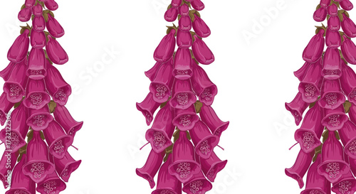 Three digitalis flowers in shades of purple against a white background