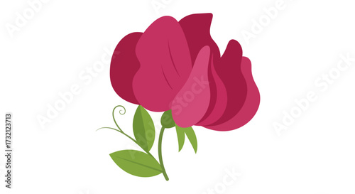 Simple illustration of pink flower with green leaves and tendril
