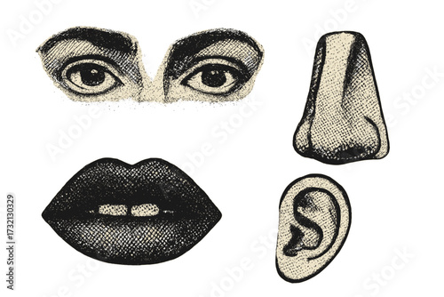 Vintage face parts set with eyes, nose, lips, ear. 90s punk rock & grunge style collage elements. Retro magazine clippings effect with halftone dotted vector texture. Anatomy.