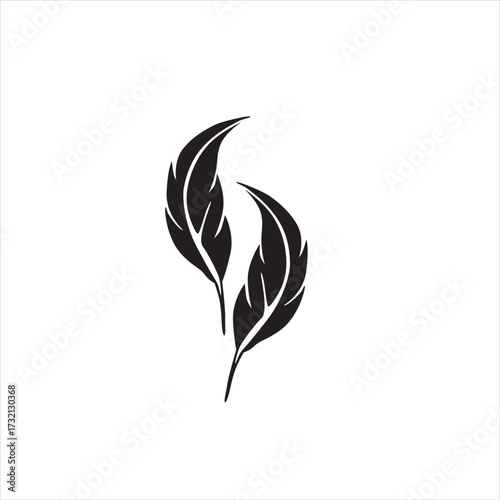 leaf, the source of life of the universe