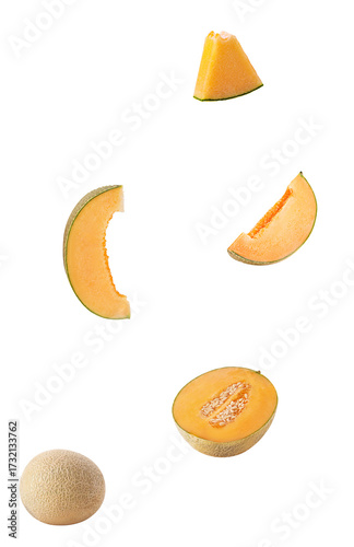 Melon fruit and slice with leaf fly