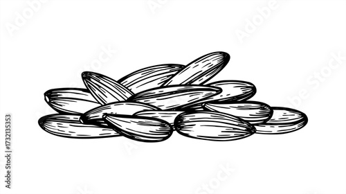 Raw sunflower seeds in shells monochrome vector line ink illustration. Healthy snack pile. Sun flower unpeeled grains heap for packaging, bird food label, culinary blog, rustic design