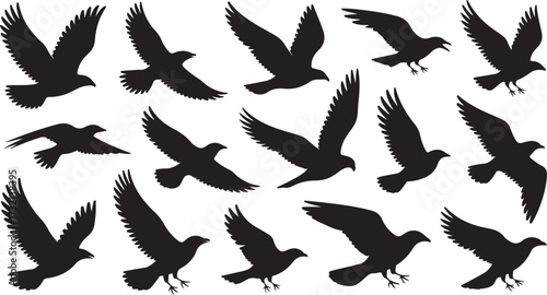 Collection of black bird silhouettes in flight on a white background flying