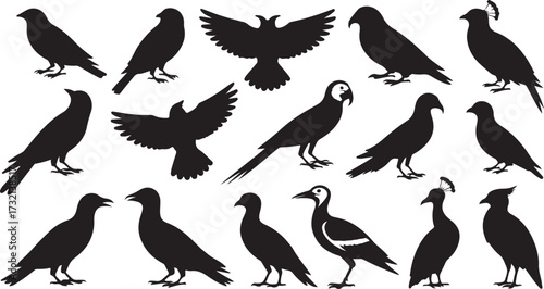 Collection of Black Bird Silhouettes Various Species Poses white