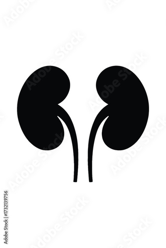 Black Silhouette Icon of Human Kidneys with Ureters anatomy