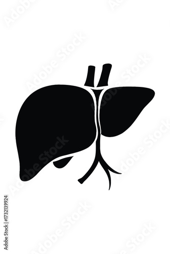 Black silhouette of a human liver with hepatic veins and artery anatomy organ