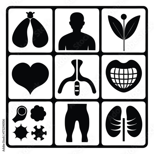 Collection of Black Medical and Biological Icons on White Background Keywords: lungs, heart, human silhouette, brain