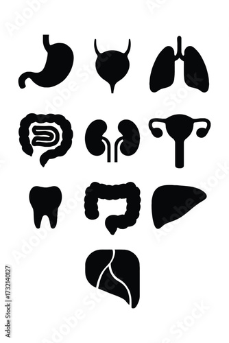 Collection of black silhouette human internal organ icons on white background stomach
