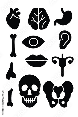 Collection of black silhouette human body part icons on white background heart brain