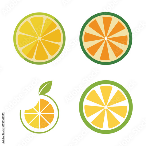 citrus fruit slice set with lemon orange lime.eps