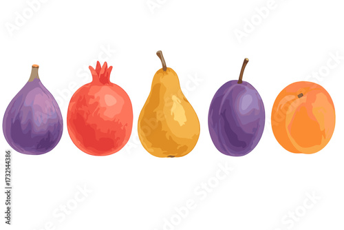Vibrant assortment of fresh colorful fruits in a horizontal row including fig pomegranate pear plum and apricot on white background