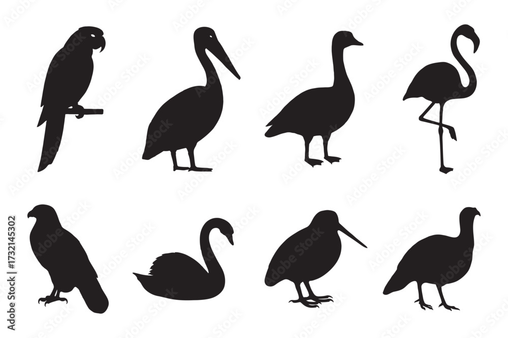 Fototapeta premium set of silhouettes of usa popular birds