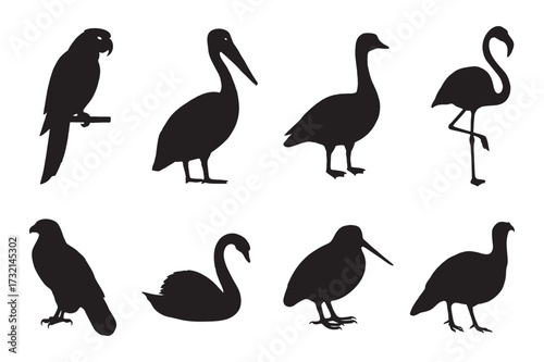 set of silhouettes of usa popular birds