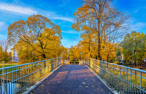 Pedestrian bridge in old public city park, golden autumn season