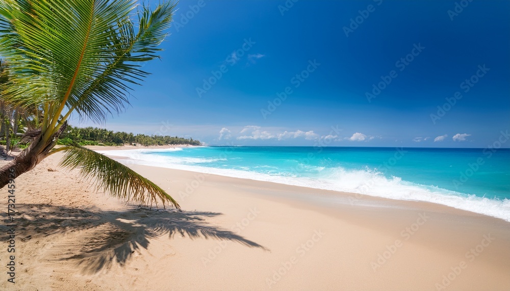 Obraz premium Beautiful Sandy Beach And Soft Blue Ocean Waves And Palm Trees