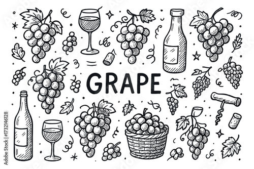 Hand-drawn grape and wine elements – bottles, glasses, leaves, corks, and bunches illustration