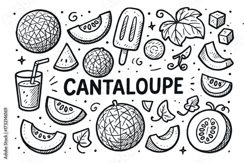 Cantaloupe illustrations: fruit, slices, popsicle, and leaves in black and white