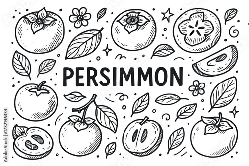 Hand-drawn persimmon fruit and leaves with black and white sketch style