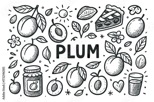 Hand-drawn plum illustrations with leaves, pie, and jam