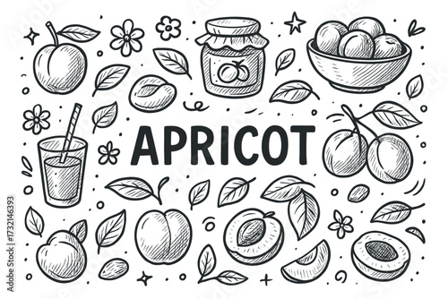 Hand-drawn apricot fruits, leaves, and jam jar with floral accents