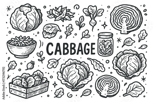 Variety of cabbage sketches with leaves and vegetables in black and white