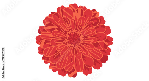 Vivid red zinnia illustration, intricately detailed petals