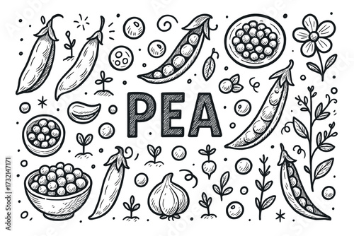 Hand-drawn pea design with pods, seeds, and plants in black and white