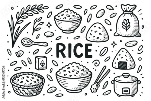 Hand-drawn rice varieties and utensils in black and white sketch style