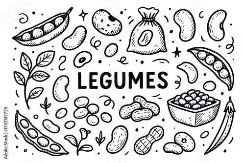 Hand-drawn legumes illustration featuring beans, peas, and nuts