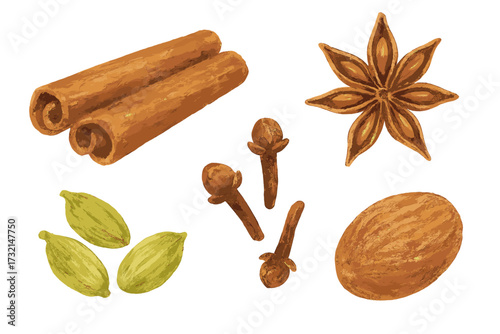 Assortment of aromatic culinary spices including cinnamon, star anise, cloves, cardamom, and nutmeg