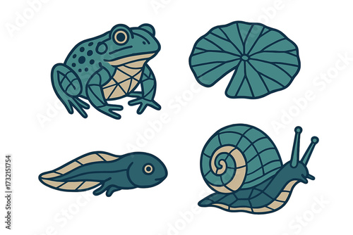 Detailed graphic set of freshwater pond animals and plant elements featuring a frog, a tadpole, a snail, and a lily pad