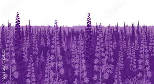 Dense field of purple lupine flowers, monochromatic scene