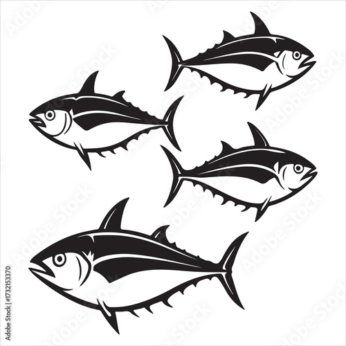 A Powerful Pelagic Tuna Fish, a Migratory Scombridae Species, Prized as a Commercial Sea Food Staple Rich in Protein and Omega3