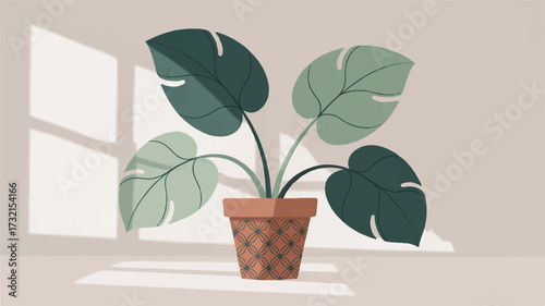 Houseplant with large green leaves in a patterned terracotta pot with sunlight casting shadows on a light wall