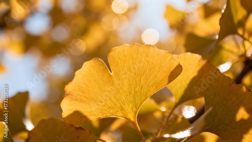 golden autumn leaves