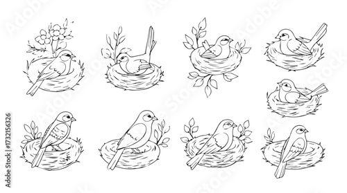 Charming hand-drawn bird nests with eggs and branches collection artistic sketch vector