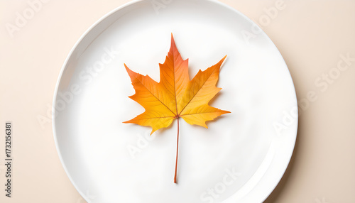 Autumn maple leaf on white plate against soft pastel background  