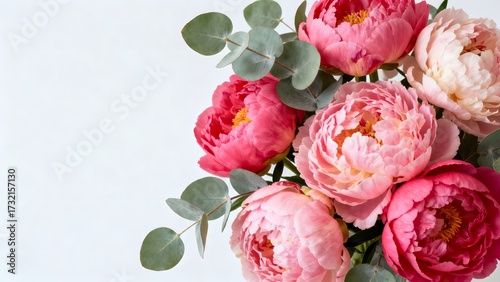 pink and white roses