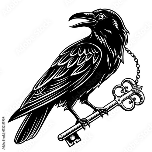 A raven perches on a key, its feathers detailed in black and white, ideal for mystery novels, gothic art, and symbolic designs