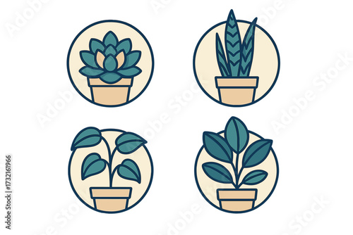 Diverse collection of potted indoor plants featuring succulents, snake plant, and leafy varieties in a clean, modern style