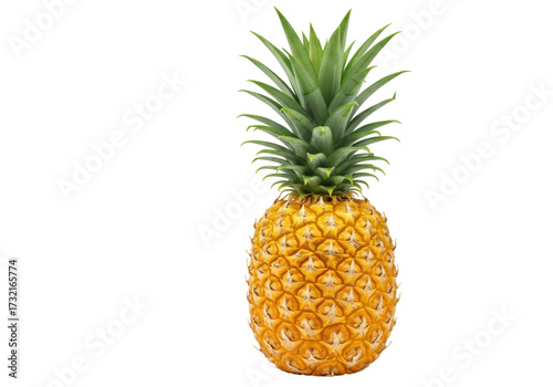 Photos Ripe pineapple PNG isolated on transparent background, tropical fruit with green