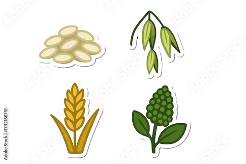 Diverse collection of agricultural crops and food ingredients such as wheat, oats, beans, and green peppercorns